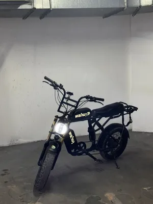 Long-Range Electric Bike – Dual Battery