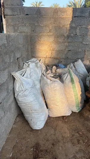 سماد ابقار نظيف