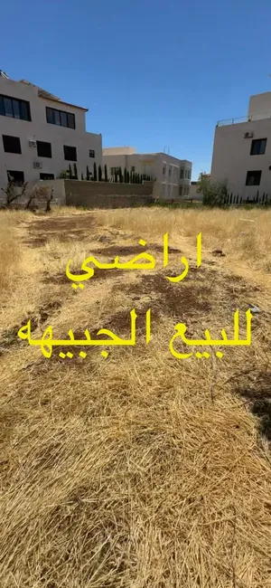 اراضي للبيع الجبيهه جانب قصر سمو الاميره بسمه و الملحقيه الثقافيه السعوديه