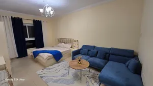 450 m2 Studio Apartments for Rent in Ajman Al- Jurf