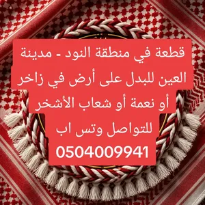 Residential Land for Sale in Al Ain Other