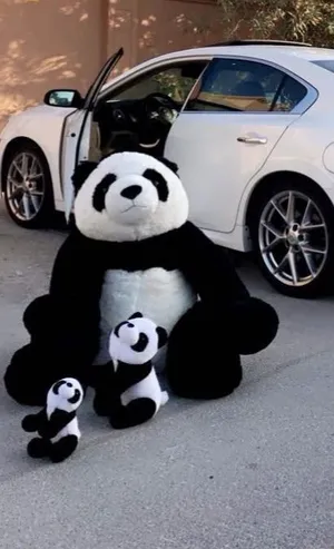 Panda Big Size