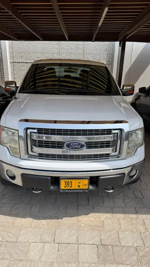 Used Ford F-150 in Muscat