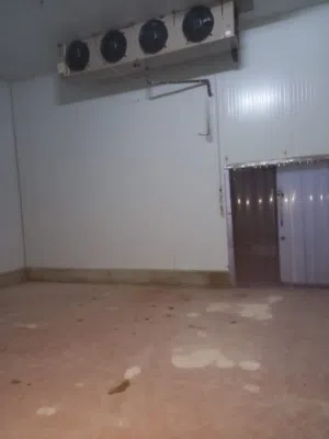 غرف تبريد وتجميد للايجار