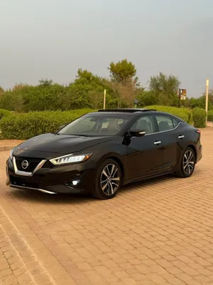 Nissan Maxima Model 2020 SL in good condition location in Alain