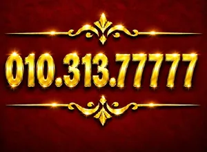 Vodafone VIP mobile numbers in Cairo