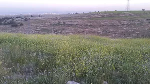 أرض للبيع في شفا بدران حوض المكيمين على شارعين من المالك مباشرة