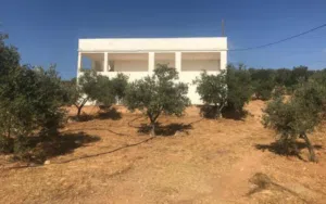 2 Bedrooms Farms for Sale in Mafraq Bweida Al-Ilimat