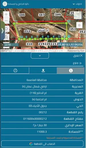 فرصة استثمارية مميزة في أم الدنانير - أراضي شمال عمّان
