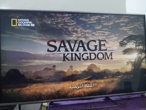 شاشه باناسونيك للبيعة