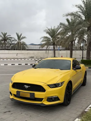 Ford Mustang EcoBoost