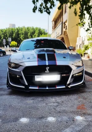 Ford Mustang GT 5.0 V8 Performance pack with Digital Cluster American Specs for Sale