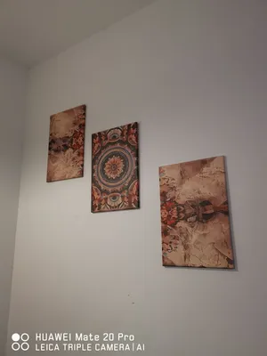 ثلاثه لوحات جميلات