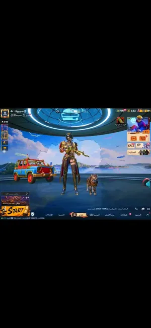 حساب ببجي السعر6000
