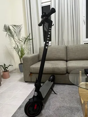 Marshall ESX3 Electric Scooter – Excellent Performance – 25km Range