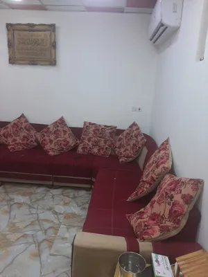 تخم قنفات تركي 5 قطع