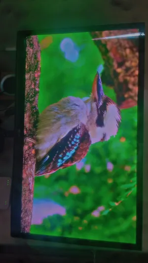 موجود شاشه ال جي معروفه لاتعرف