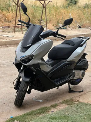 2024vmax 300