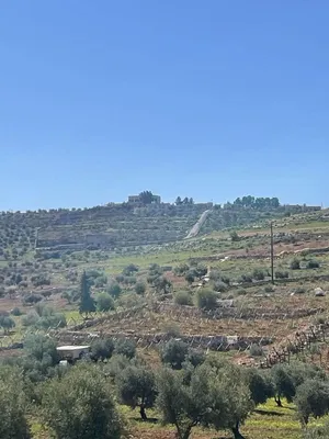 عرض زراعية