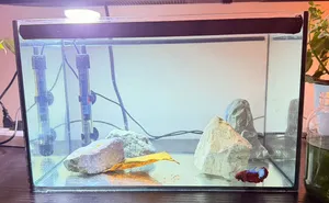 Tank for sale