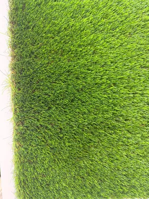 Grass available