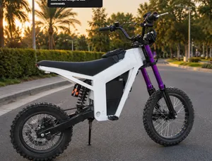 moded kugoo wish01 for more pics text me goes 80 to 90 km depending on your weight