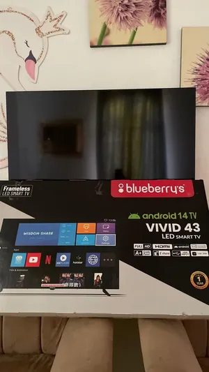 تلفزيون blueberrus