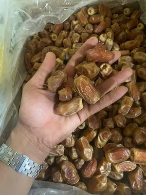 تمور المجمعه