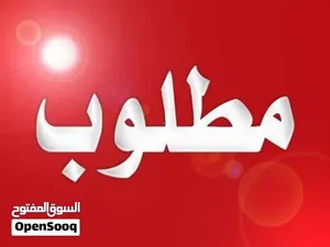 مطلوب / مطلوب / مطلوب