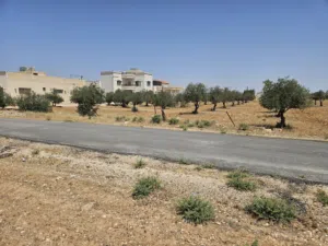 قطعة أرض حي الزهور الرمثا