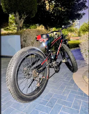 Fat-Tire Mountain Bike - Good Condition, Ready to Ride