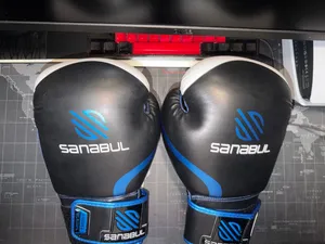 Sanabul 10 ounce boxing gloves and headgear
