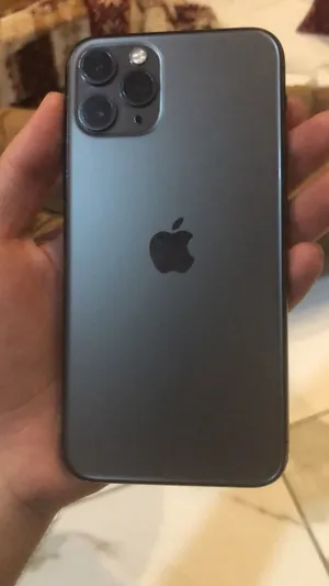 11 pro all ok panal change only face id working