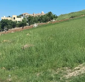 ارض في السلط الشفا الجنوبي