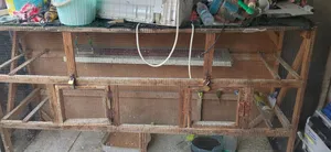 قفص طيور حب للبيع العنوان البصرة حي المهندسين ساحة رمل