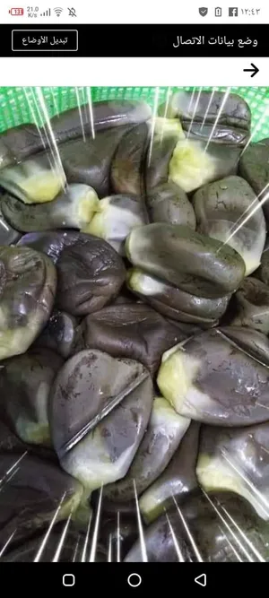 مقدوس فاخر