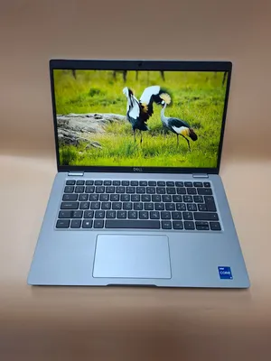 11th GENERATION CORE i5 8GB RAM DDR-4 256GB SSD NVMe 14 INCH SCREEN DELL LATITUDE 5420 WINDOWS 11PRO