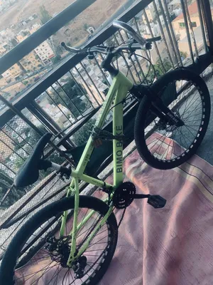 علاء :ابو حسام