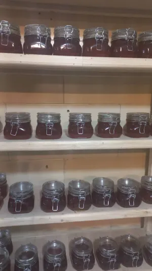 أنواع العسل العلاجي