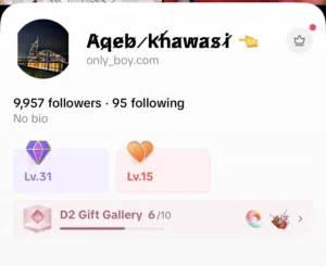 This is TikTok account  With level 31 and around 10 followers  With special price