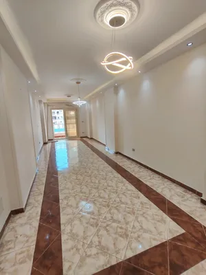 شقه للبيع شارع السباعي متفرع من اسكندر ابراهيم
