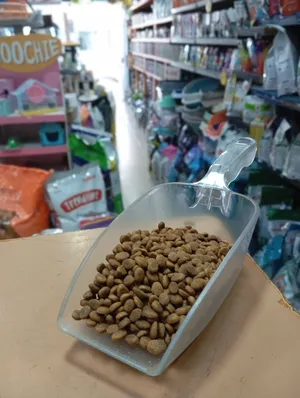 دراي فود للكلاب الصغيرة puppy بالوزن / بالكيلو تركي عالي الجودة وبروتين عالي وغني بالفيتامينات