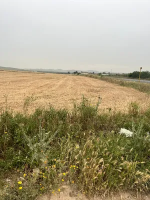 Farm Land for Sale in La Manouba Other