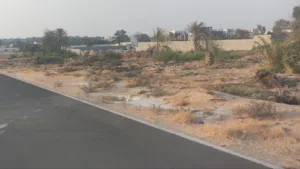 فرصه استثماريه مناسبه اراضي تاون هاوس بأقل سعر في امارة عجمان شامل الرسوم