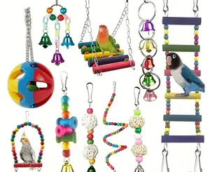 parrot and accessories