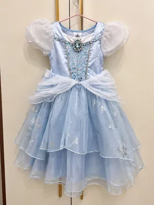 مجموعة فساتين أميرات Disney الأصلية للأطفال Authentic Disney Princess Dress Collection for Girls