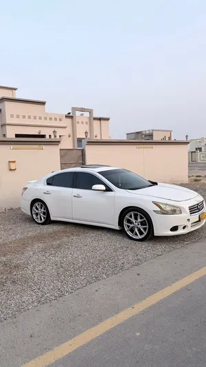 مكسيما لبيع وتبادل 2014