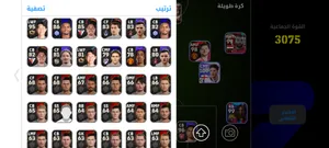 التشكيله موت