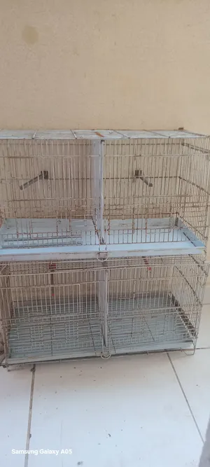 Cages, breeding pots, and boxes are available in different sizes