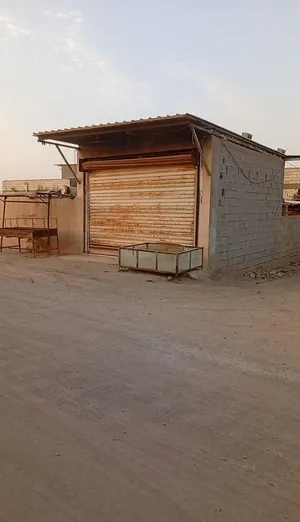 Farm Land for Sale in Basra Al-Jazzera